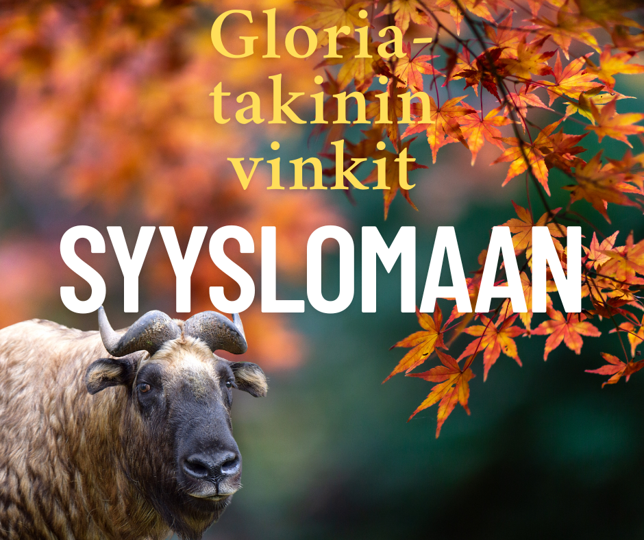 Syysloma 2025